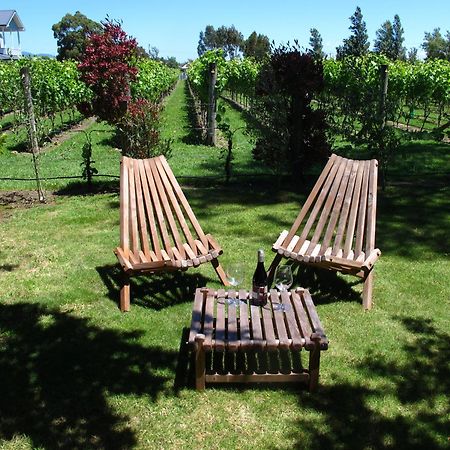 Villa In The Vines Martinborough Exterior foto